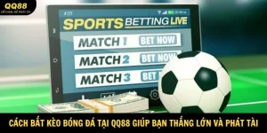 Cách Bắt Kèo Bóng Đá Tại QQ88 Giúp Bạn Thắng Lớn 10 cach-bat-keo-bong-da-tai-qq88-avatar