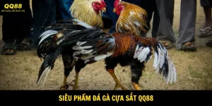 Đá Gà Cựa Sắt QQ88 - Siêu Phẩm Cược Live Siêu Hot  7 da-ga-cua-sat-avatar