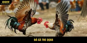 Đá Gà Tre - Giải Trí Quyết Liệt, Đậm Chất dân Gian 6 da-ga-tre-avatar
