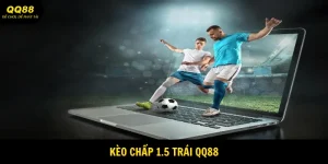 Kèo Chấp 1.5 Trái QQ88 - Trọn Bộ Thông Tin Từ A-Z 6 keo-chap-1.5-trai-avatar