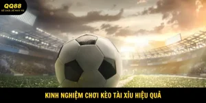 Kinh Nghiệm Chơi Kèo Tài Xỉu Hiệu Quả Tại QQ88 1 kinh-nghiem-choi-keo-tai-xiu-hieu-qua-anh-dai-dien