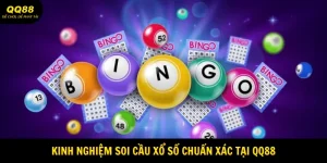 Kinh Nghiệm Soi Cầu Xổ Số Chuẩn Xác Tại QQ88 2 kinh-nghiem-soi-cau-xo-so-avatar
