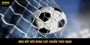 Mẹo Bắt Kèo Rung Tại QQ88 Siêu Chuẩn Nên Bỏ Túi 5 meo-bat-keo-rung-avatar
